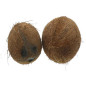 NOIX DE COCO 40PCS